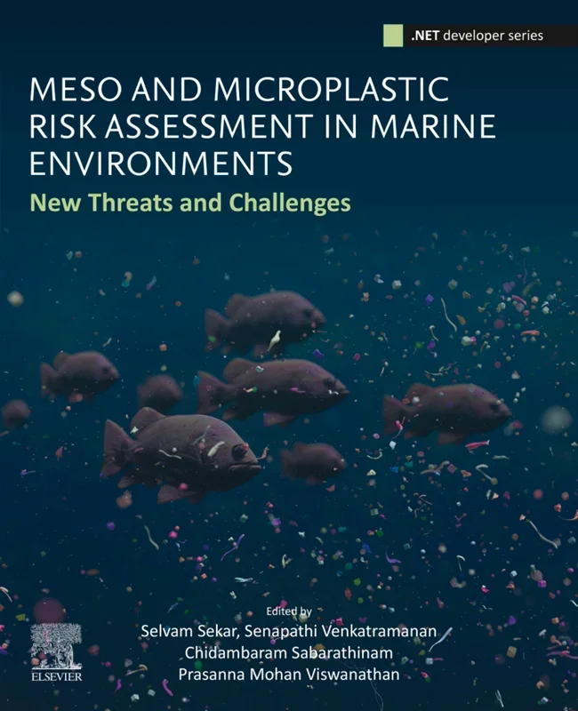 Meso and Microplastic Risk Assessment in Marine Environments: New Threats and Challenges