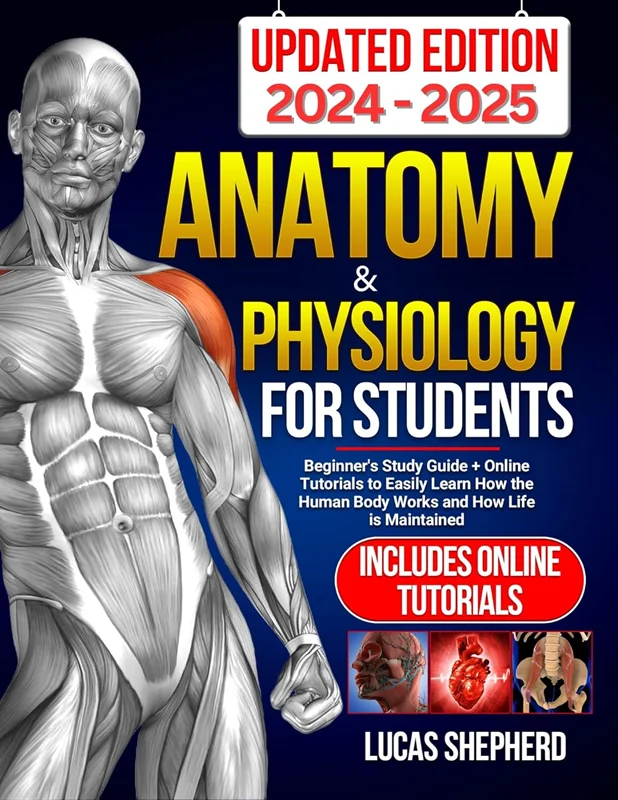 Anatomy & Physiology For Students | UPDATED EDITION: Beginner's Study Guide